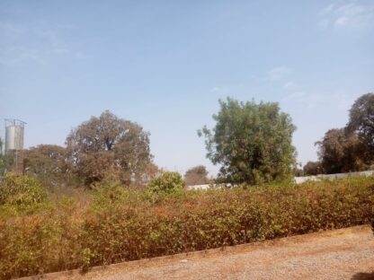Oasis du Sahel Burkina Faso